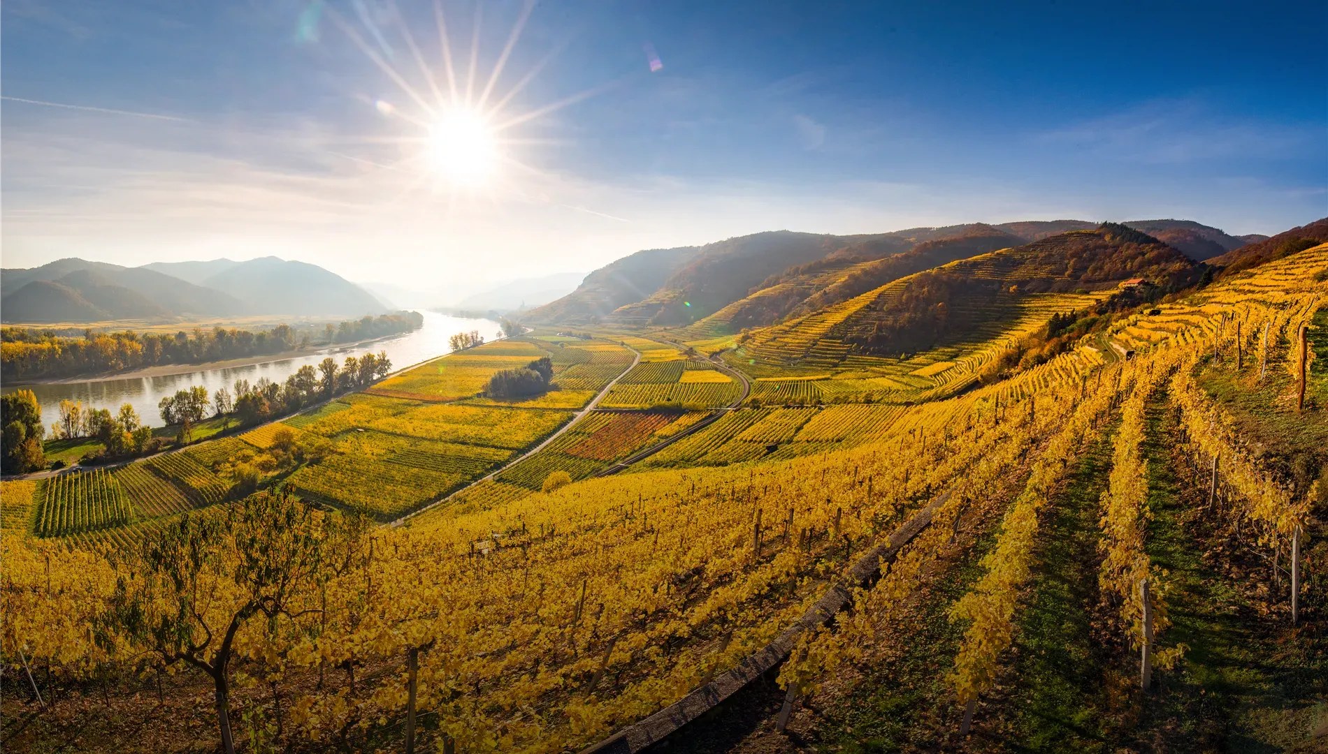 Kein Bildtext verfügbar